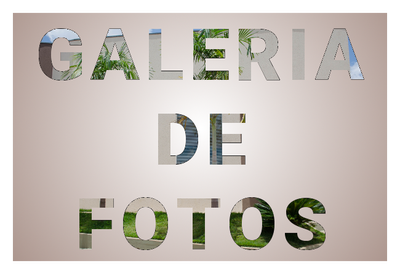 Galeria de fotos