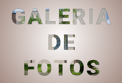 Galeria de fotos